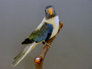opaline, turquoise 2.jpg (206.31 КБ) 29924 просмотра опалин, бирюзовый