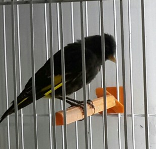 20141030_135927-1-1.jpg