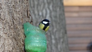 DSC00631.JPG