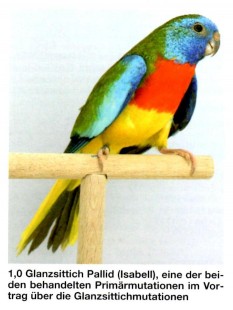 img002 (2).jpg (71.87 КБ) 25685 просмотров Изабель<br />2014 года.