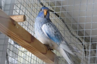 Johann Eckerstorfer.jpg (216.53 КБ) 25648 просмотров © Johann Eckerstorfer