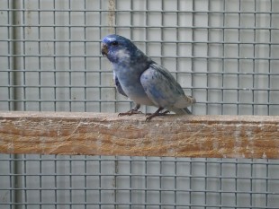 Marnik Bostyn.jpg (296.41 КБ) 25648 просмотров © Marnik Bostyn