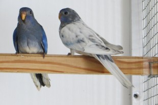 Johann Eckerstorfer2.jpg (173.24 КБ) 25648 просмотров © Johann Eckerstorfer