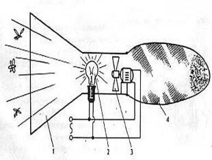 ловушка-насекомых11.jpg (64.68 КБ) 23013 просмотров Рис.1