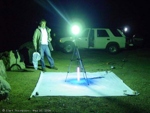 ловушка-насекомых6.jpg (56.52 КБ) 23013 просмотров ©Clark Thompson