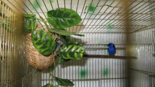 AOndlX6iCog.jpg (49.81 КБ) 22073 просмотра перед вылетом