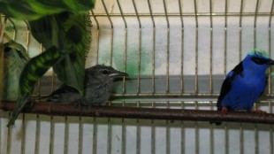 GYlvcvnbaC0.jpg (32.34 КБ) 22073 просмотра слеток