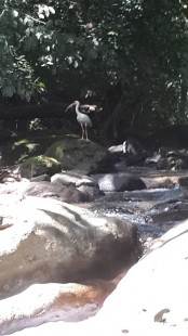 093.jpg (100.62 КБ) 31796 просмотров ...