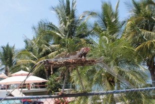 040.JPG (263.01 КБ) 31796 просмотров хозяин кормушки