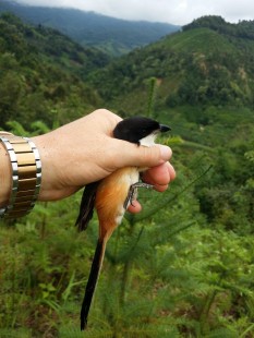 20150804_173857.jpg