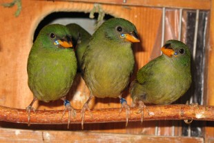 ga.foto5.JPG (100.17 КБ) 24919 просмотров ТПА - молодежка