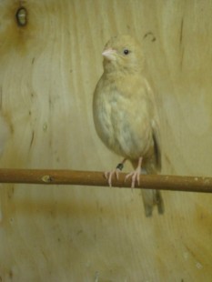 23.jpg (30.39 КБ) 24675 просмотров Кто это?