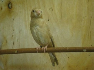 22.jpg (36.8 КБ) 24675 просмотров Кто это?