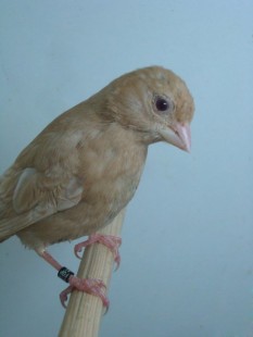 24.jpg (28.01 КБ) 24646 просмотров Кто это?