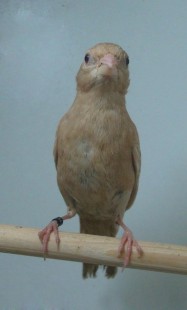 25.jpg (26.6 КБ) 24646 просмотров Кто это?