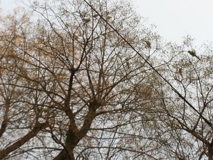 20151225_160215.jpg