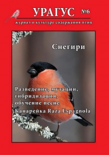 Обложка первой части.jpg (248.58 КБ) 33496 просмотров Первая часть шестого номера<br />.