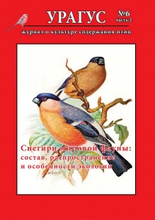 Обложка второй части.jpg (273.88 КБ) 26343 просмотра Вторая часть шестого номера <br />со статьей Вадима Ивушкина