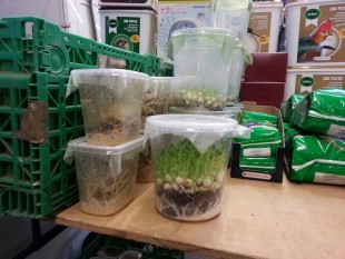 20160221_091949.jpg (196.31 КБ) 10405 просмотров .