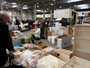 20160221_092200.jpg (238.93 КБ) 10405 просмотров .