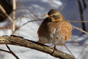 _OO_3557.jpg