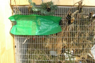 P7290002-G.jpg (299.89 КБ) 22269 просмотров Фото гнезда в нижнем садке