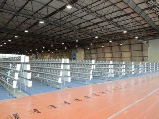 Almería-2017.jpg (45.05 КБ) 8859 просмотров Almería-2017<br />© Aviario Fausto Albaceleste