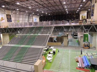 16107207_18413Almería-2017.jpg (57.27 КБ) 8859 просмотров Almería-2017<br />© Aviario Fausto Albaceleste