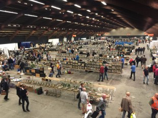 Zwolle Birdmarket 18-2-2017.jpg