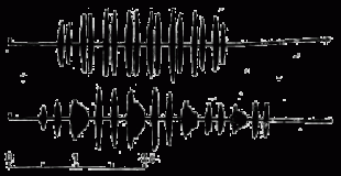 Осциллограммы-вариантов-вес.gif (20.38 КБ) 34933 просмотра Осциллограммы вариантов весенней песни<br /> большой синицы (Parus major) исполняемых <br />одним и тем же самцом