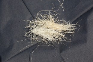1280px-Sisal_fibres.JPG (323.66 КБ) 370672 просмотра Сизаль