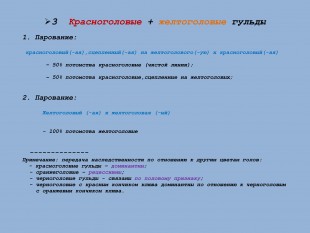 часть6..jpg