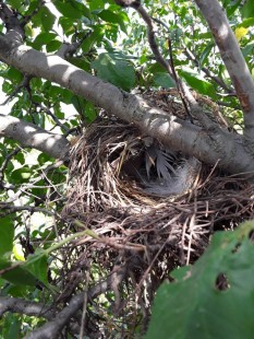 IMG-f72cc017be0e246f54294172f83ec0ad-V.jpg (299.82 КБ) 32894 просмотра Вид спереди