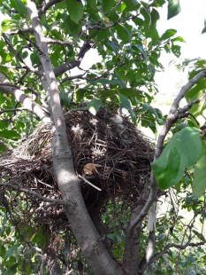 IMG-79fb8cd5862b559f2597534640df357a-V.jpg (313.09 КБ) 32894 просмотра Вид сбоку