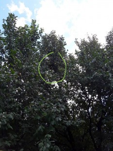 IMG-3a78680d3ead4f5300e2a0bb446c9114-V.jpg (275.66 КБ) 32891 просмотр Вид снизу