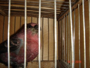 DSC06755.JPG (137.35 КБ) 77840 просмотров DSC06755.JPG