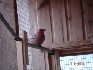 DSC06758.JPG (102.4 КБ) 23858 просмотров DSC06758.JPG