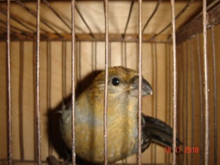 DSC06762.JPG (126.64 КБ) 23858 просмотров DSC06762.JPG